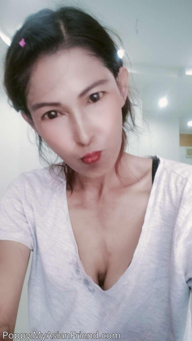 Poppy's personal blog photo 1 added Thursday the 8th of August 2024